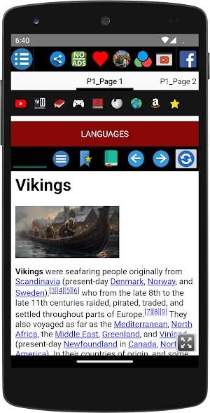 Vikings - History Screenshot 1