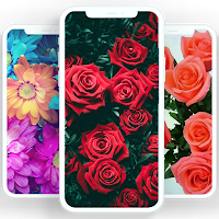 Flowers Wallpapers