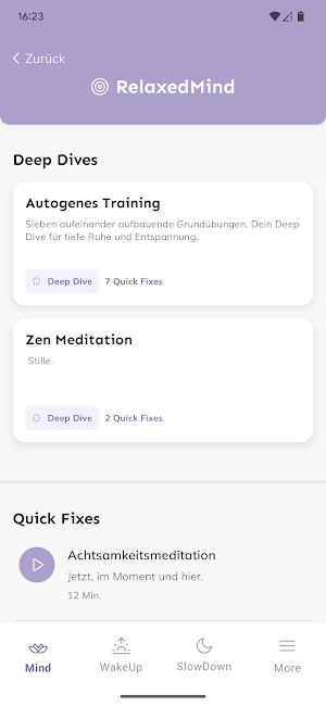MindApp Screenshot 3