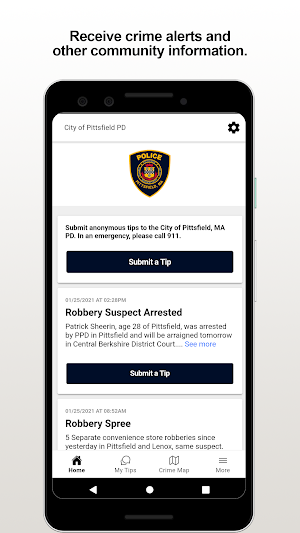 Pittsfield PD Screenshot 0