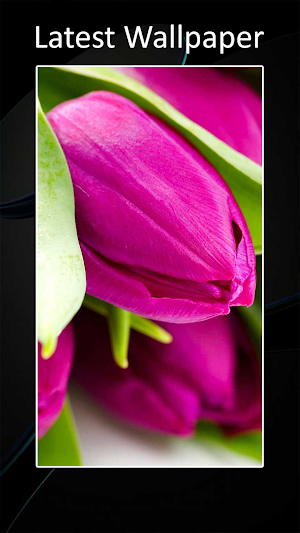 Theme for Huawei mate 30 Screenshot 0