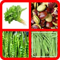 Four Vegetables One Word
