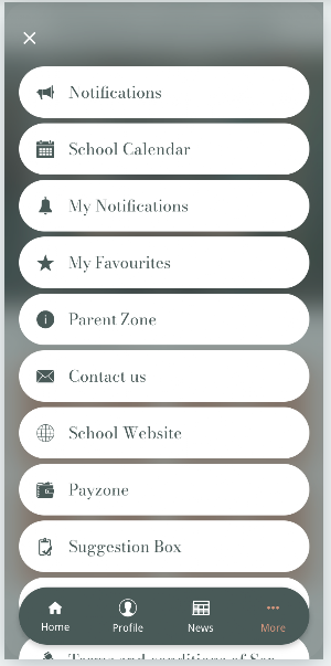 Pobalscoil Iosolde Screenshot 1