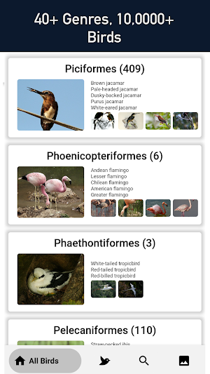 Bird Finder - All Birds Screenshot 1