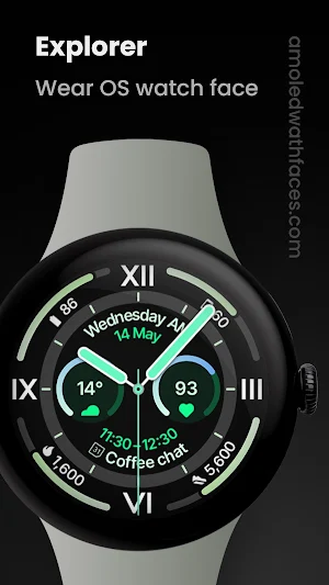Explorer Watch Face Screenshot 0