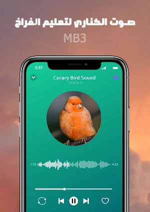 canary bird sound screenshot 8