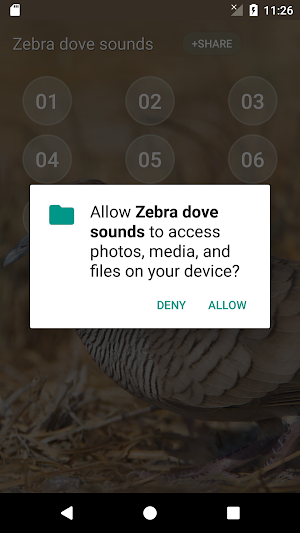 Zebra dove Sound Screenshot 3