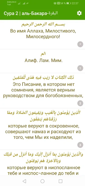 САМЫЕ КРАСИВЫЕ СУРЫ КОРАНА. MP3. БЕЗ ИНТЕРНЕТА. Screenshot 2