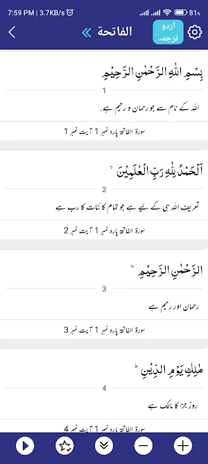 Tafheem Audio Screenshot 2