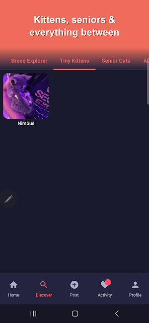 Show Me Your Kitties Screenshot 3