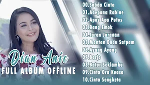 Dian Anic Lagu Tarling Screenshot 1