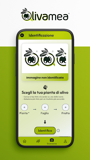 olivamea Screenshot 2
