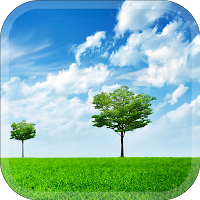 Nature Vibe Wallpaper