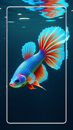 Betta Fish Wallpapers Screenshot 1