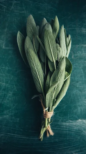 Sage Wallpaper Screenshot 2