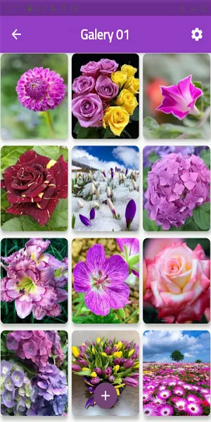 Wallpapers flowers purple Screenshot 0