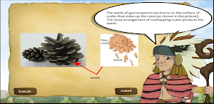 Gymnosperm Screenshot 3