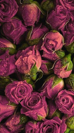 Flowers and Roses Images Gif Screenshot 2