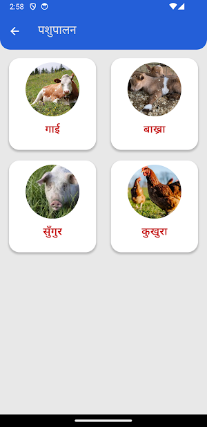 DevchuliApp Screenshot 2