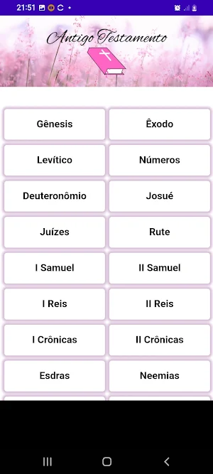 Bíblia Para Mulher Screenshot 2