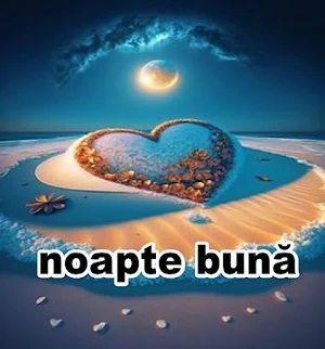 imagini de noapte buna Screenshot 3