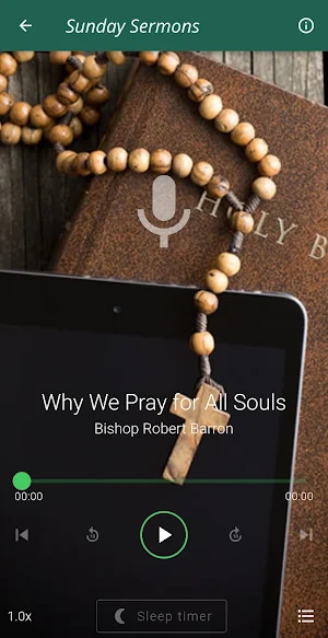 Bishop Robert Barron Teachings Screenshot 2