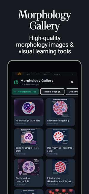 MLS Prep Pro Screenshot 1