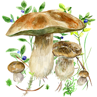 Mushrooms app