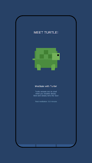 TurtleSlow Screenshot 0
