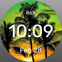 Sunset Palms - Watch Face