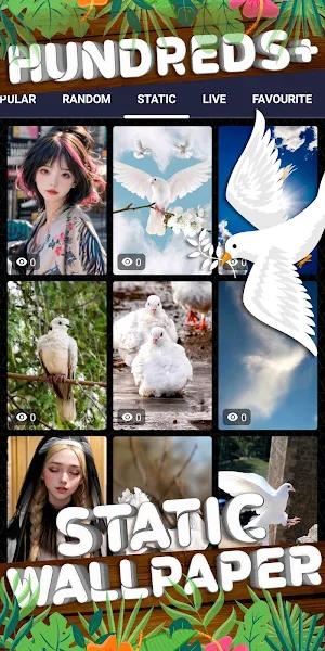 dove wallpaper Screenshot 3