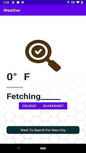 Local Weather Screenshot 2