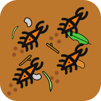 Beetle Frenzy