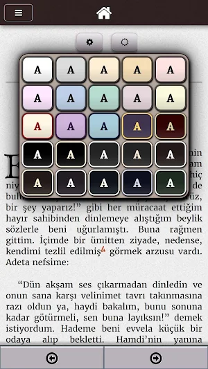 Kürk Mantolu Madonna Sabahattin Ali Screenshot 2