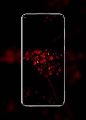 OPPO RENO 5 Pro & RENO 5 Walls Screenshot 0