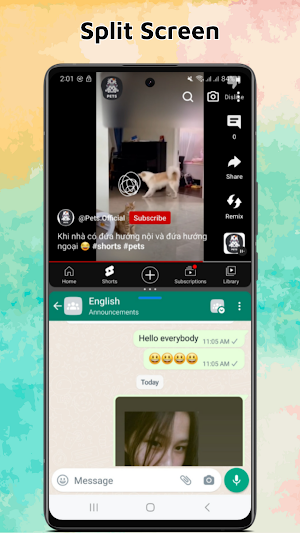 Split Screen & Dual Window App Screenshot 0