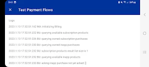 Test Payment Flows Screenshot 2