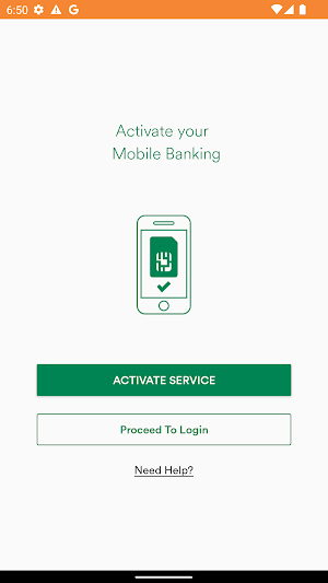 Laxmi Laghubitta-Mobile Paisa Screenshot 0