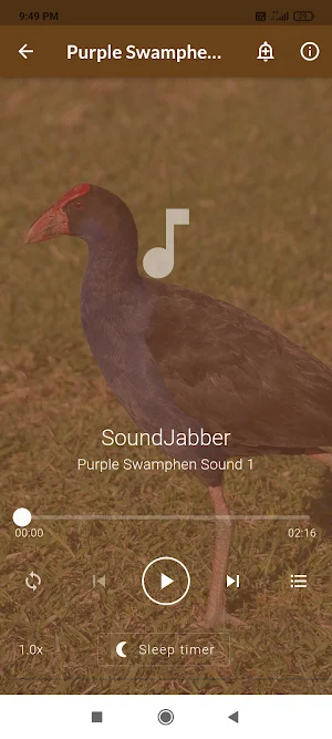 Purple Swamphen Sounds Screenshot 1