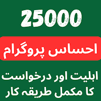 BISP Ehsaas Survey Guide 2024