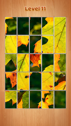 Jigsaw Explorer: Puzzle Game Screenshot 2