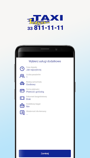 Taxi Jedynka Screenshot 3