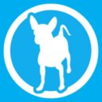 Doggie Style Pets