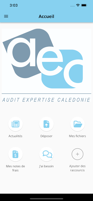 Audit Expertise Calédonie Screenshot 1
