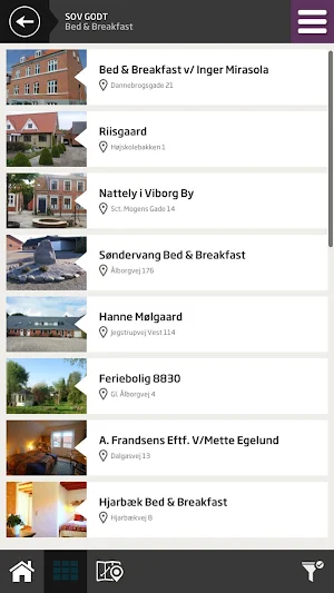 VisitViborg Screenshot 1