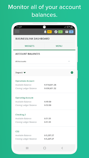Central Bank - Business Screenshot 2