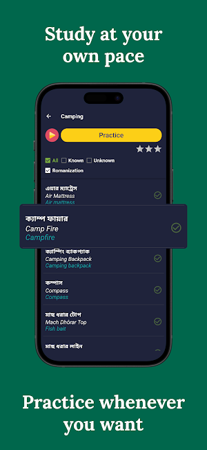 Learn Bengali - Beginners Screenshot 2