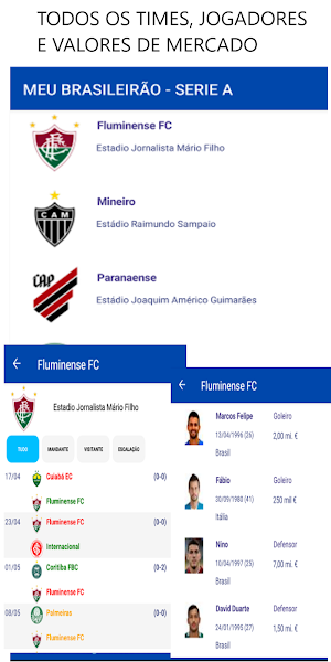 Brasileirão Serie A 2023 Screenshot 3