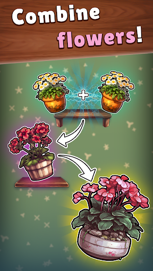 Flora Combinatorix Screenshot 0