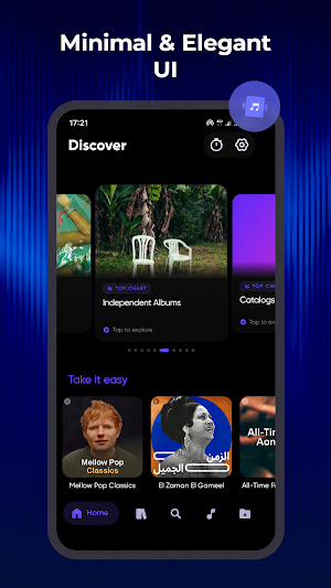WaveFlow – Offline Music Screenshot 0